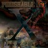Punishable Act - X [LP][schwarz]